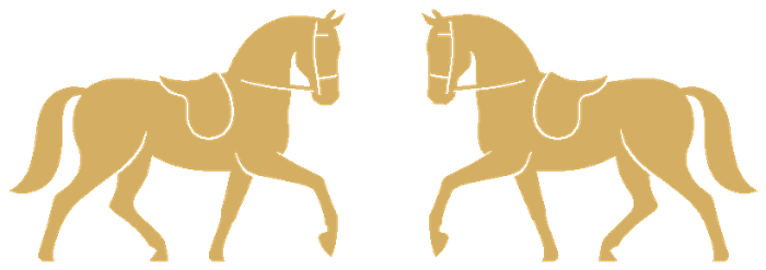 The Park Saddle