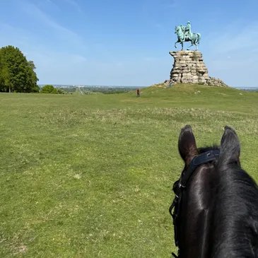The Copper Horse from the saddle
